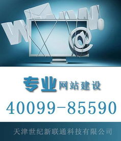 天津网站建设 世纪新联通 天津网站建设方案